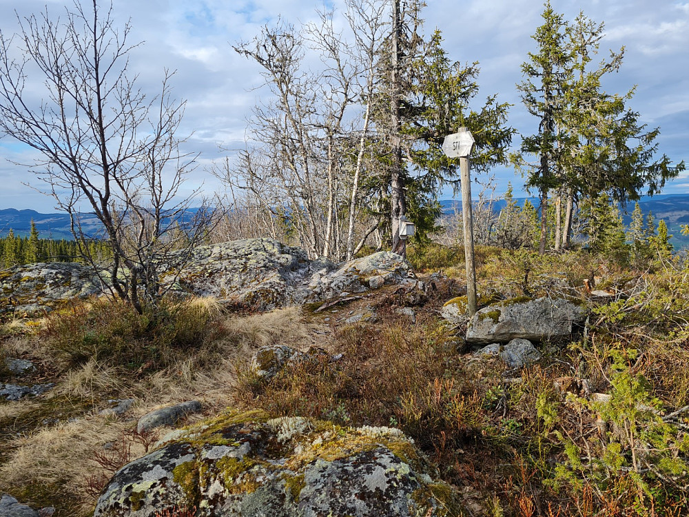 Vardkampen