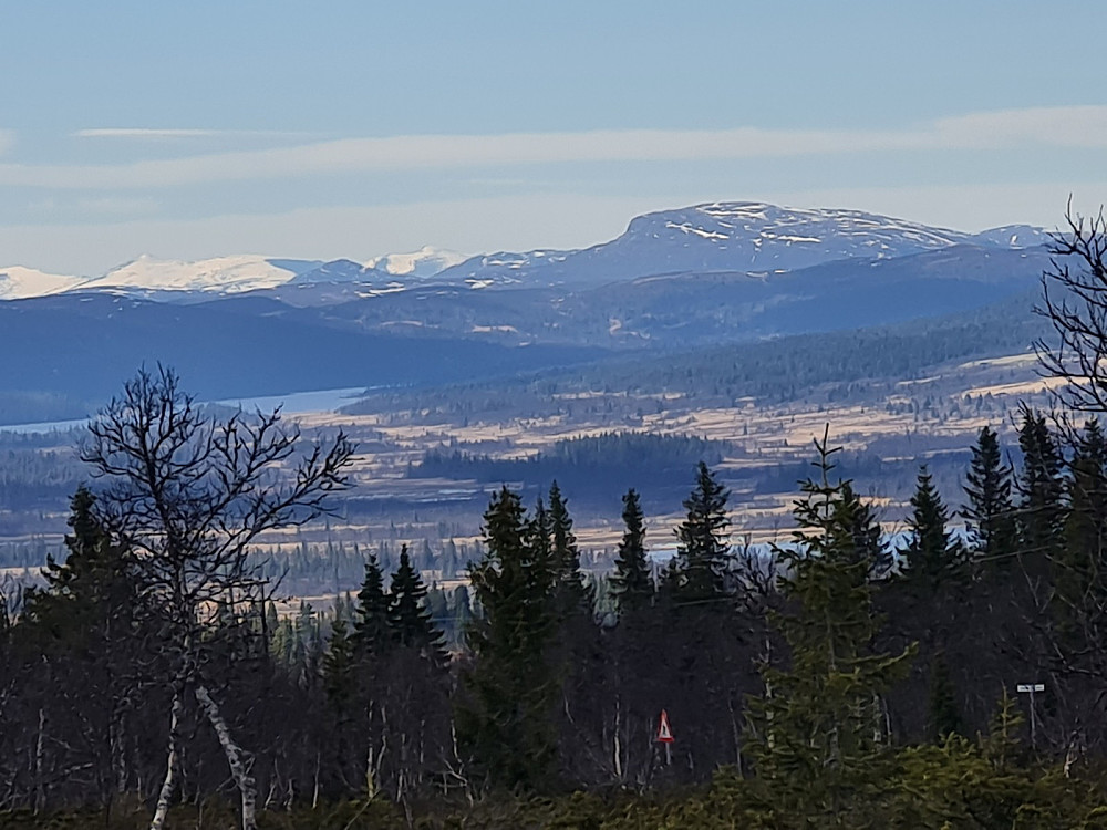 Glittertind, Nautgardstind, Stornubben og Ongsjøfjellet fra Værskei