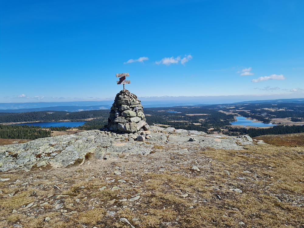 Prestkjerringa