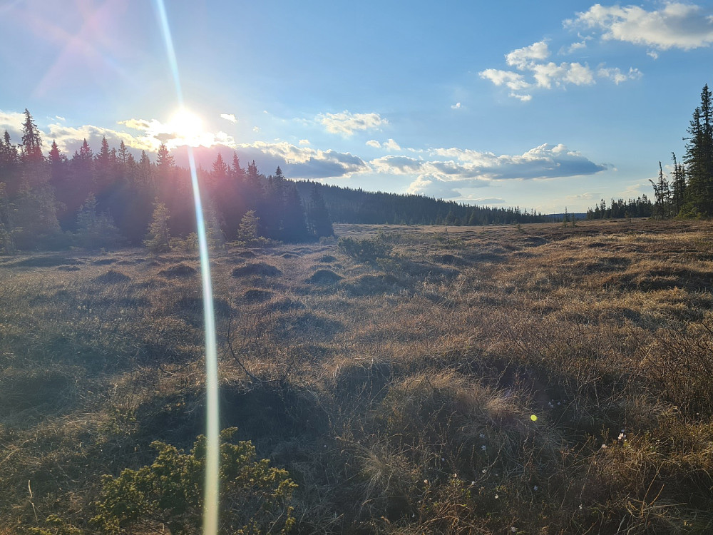 Solnedgang ved Grøtåshaugen