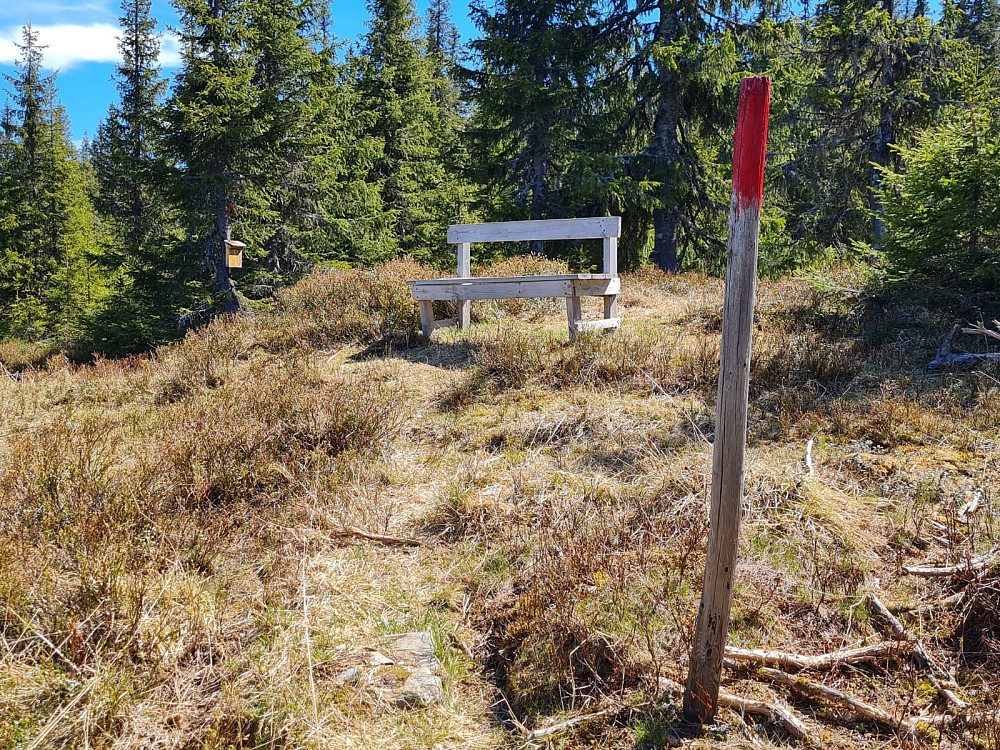 Topptrimpunktet ved Stølan