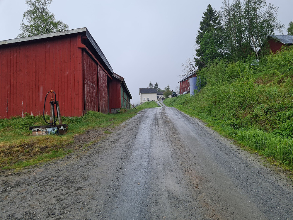 Nygaard