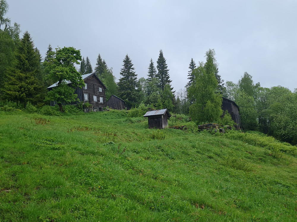 Hammershaug