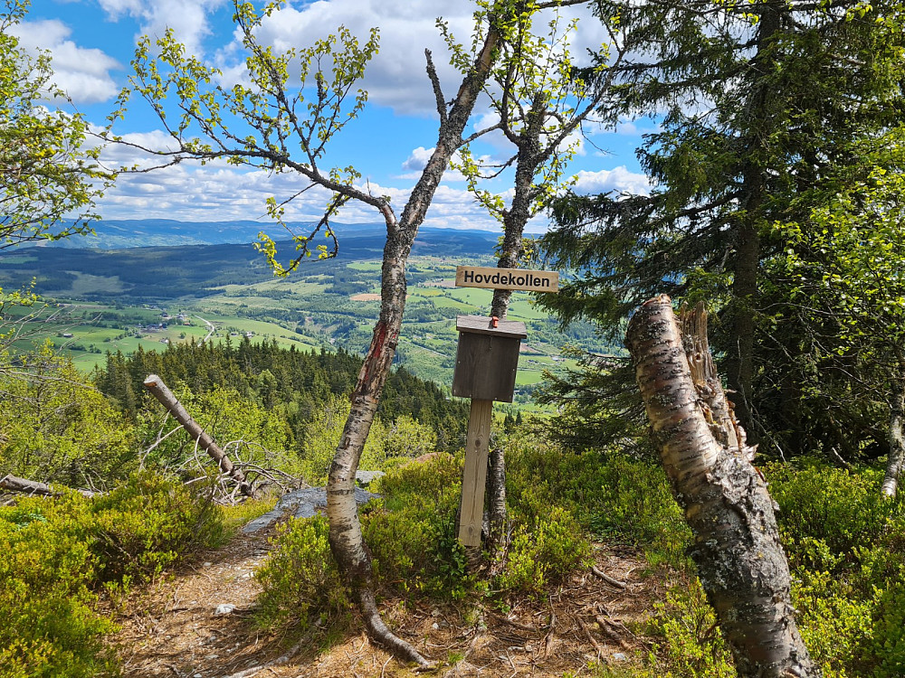 På Hovdekollens utsiktspunkt