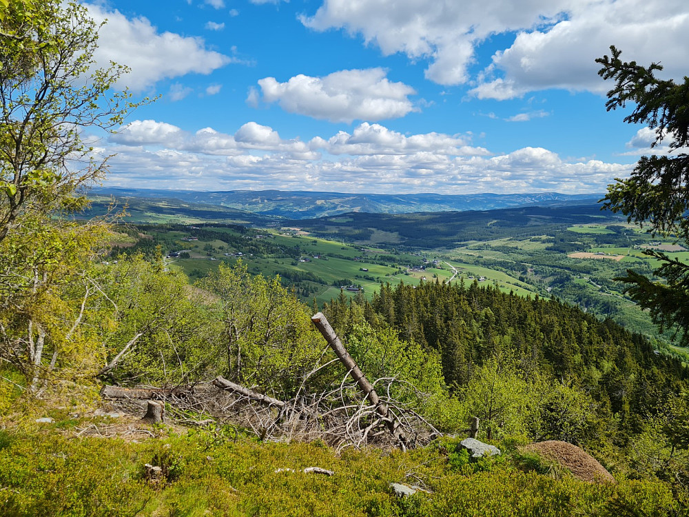 På Hovdekollen utsiktspunkt