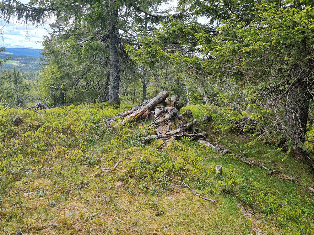 Hovdekollens toppunkt