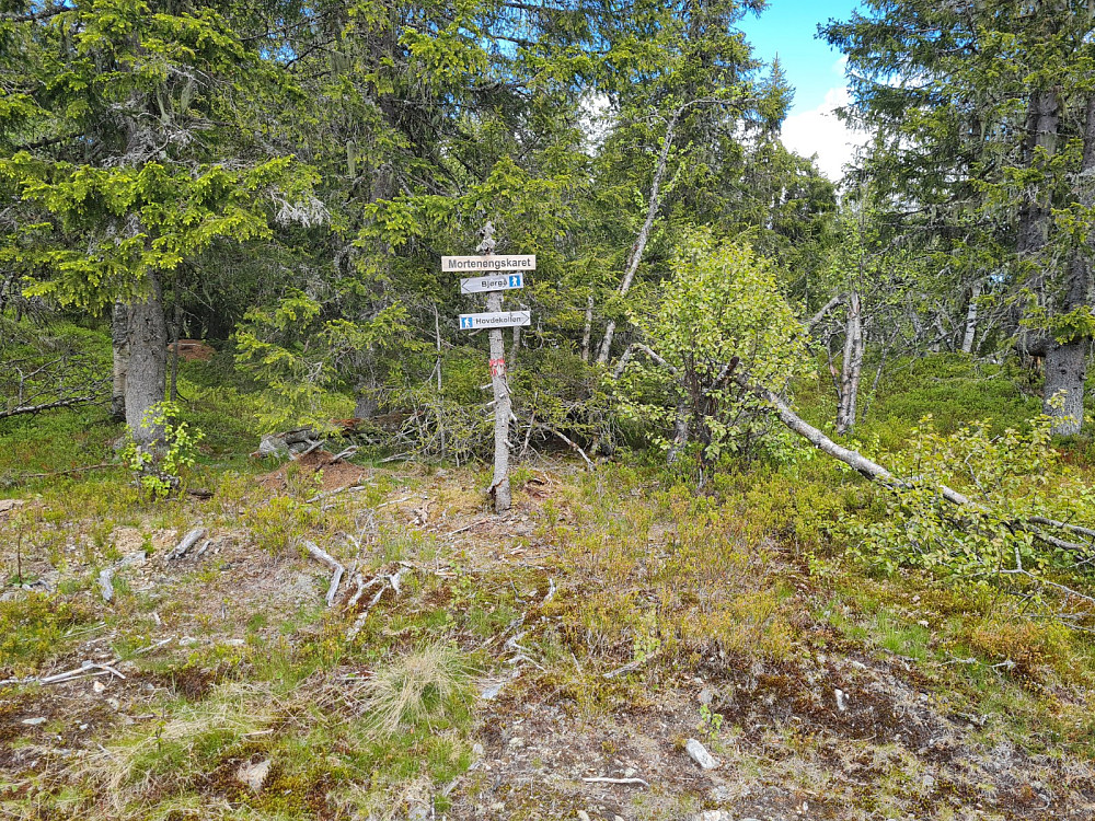 Stikryss nedenfor Mortenengskaret