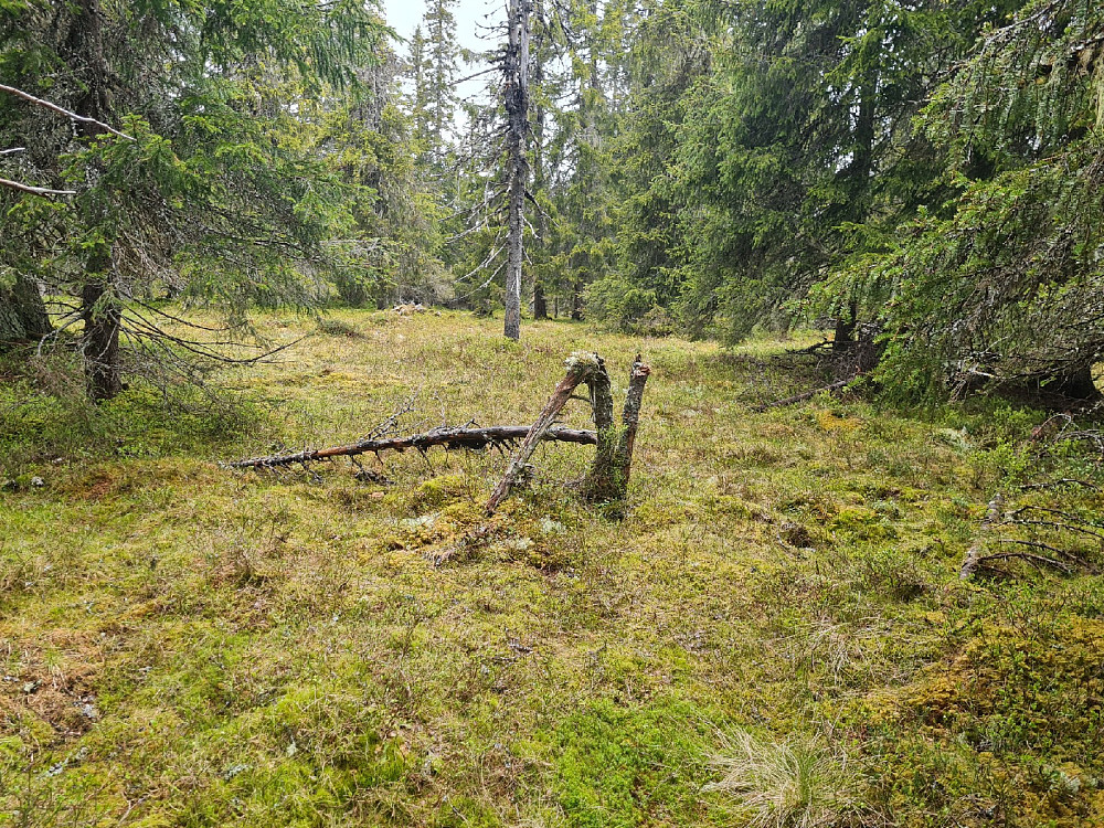 På Storseterhøgda