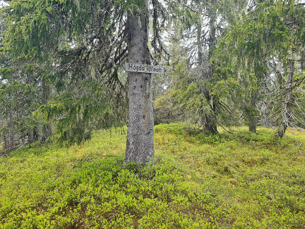 På Storseterhøgda
