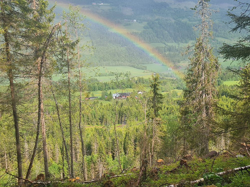 Regnbue over Nygaard