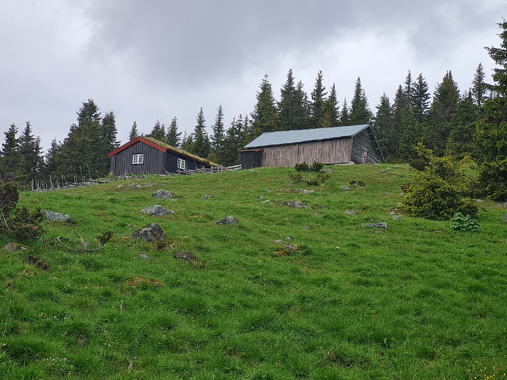 Storsetra
