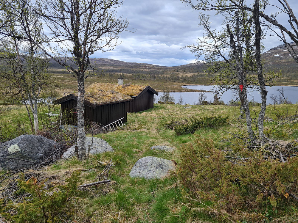 Skjelbreidsbua
