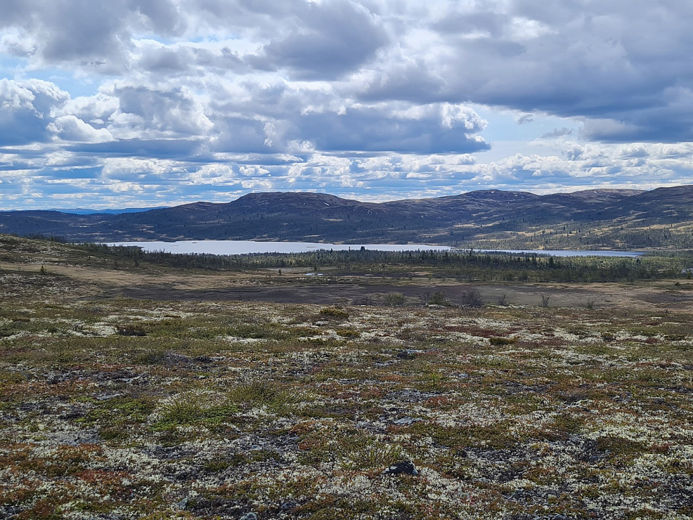 På Midtre Vågskardsfjellet, mot Øvre Reinsjøen med Søre Fukhamaren bak