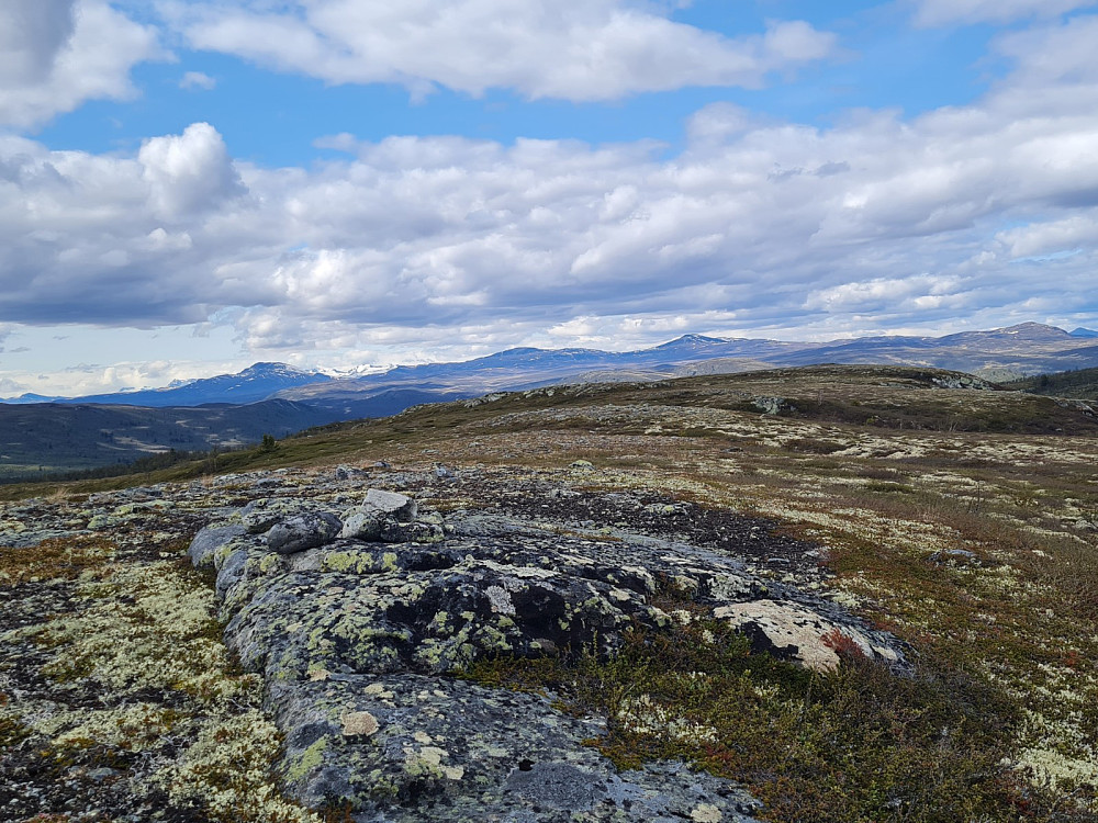 På Midtre Vågskardsfjellet, mot Skaget og Langsuene