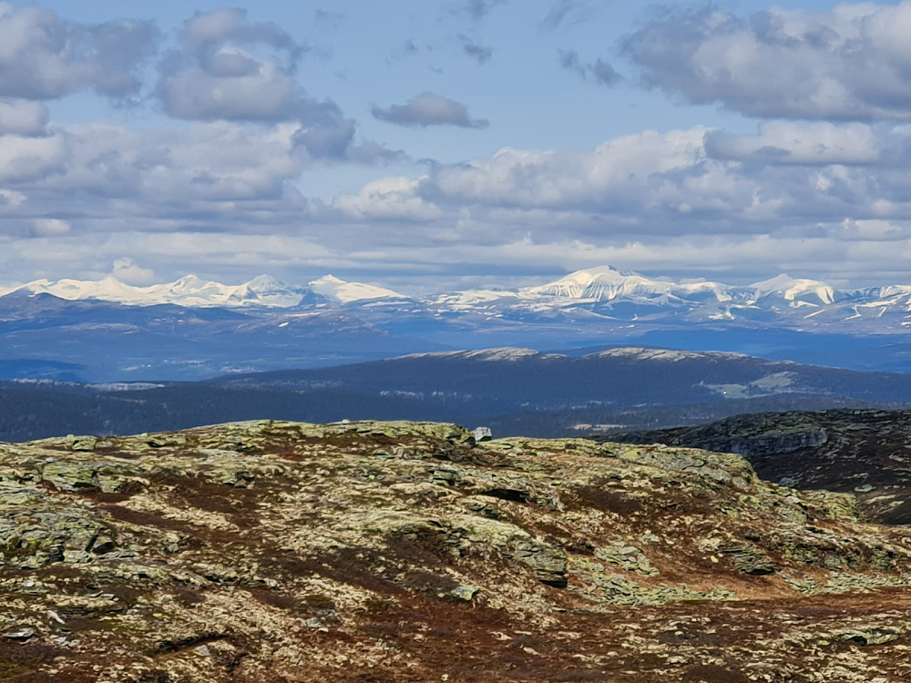Utsikt mot Rondane