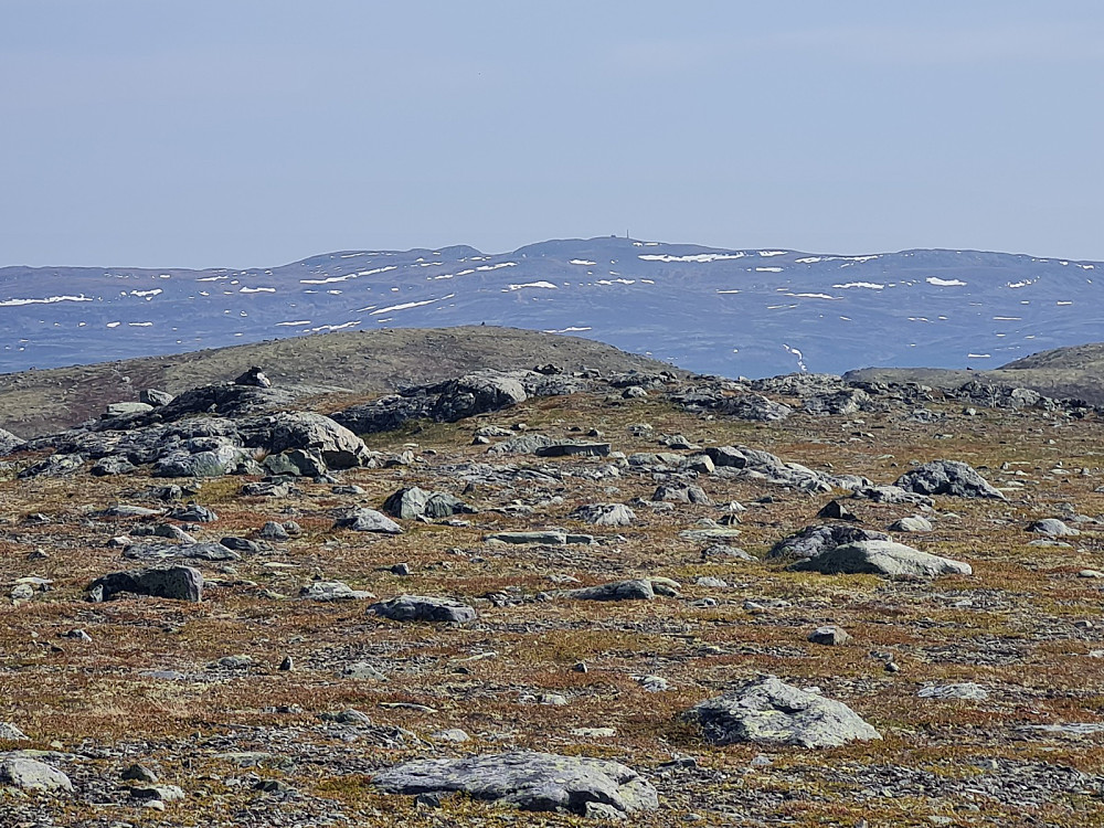 På Røssjøkollen, mot Spåtind