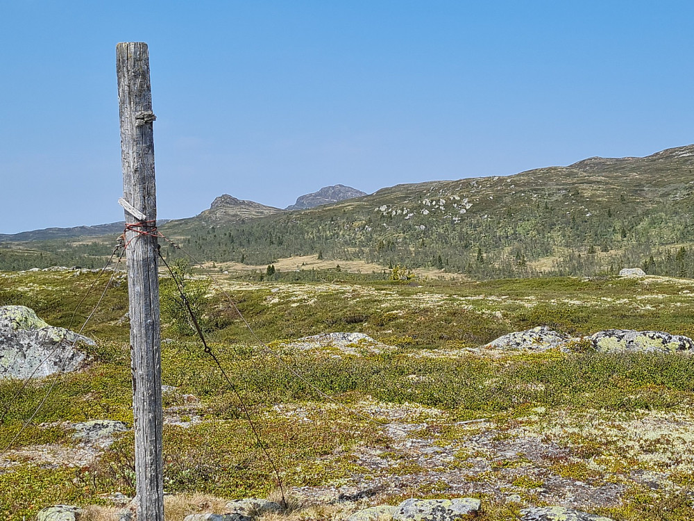 På Veslefjell