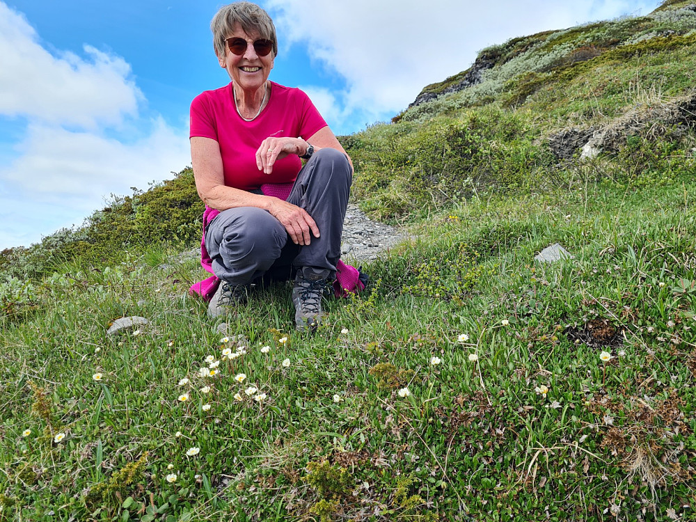 Marit i reinroseenga