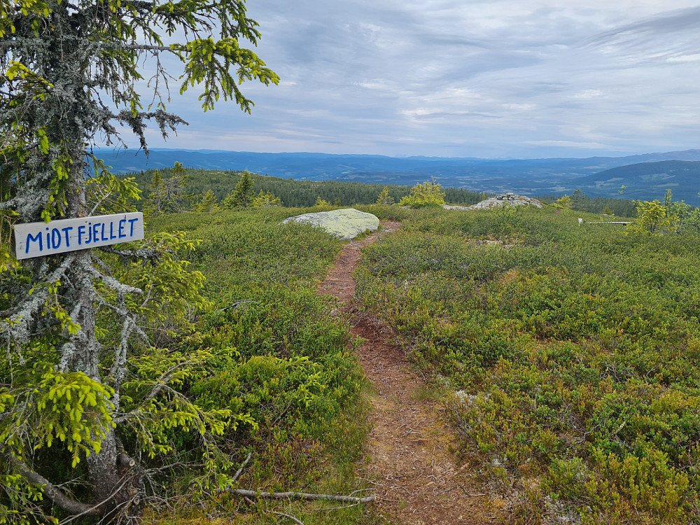 På Midtfjellet
