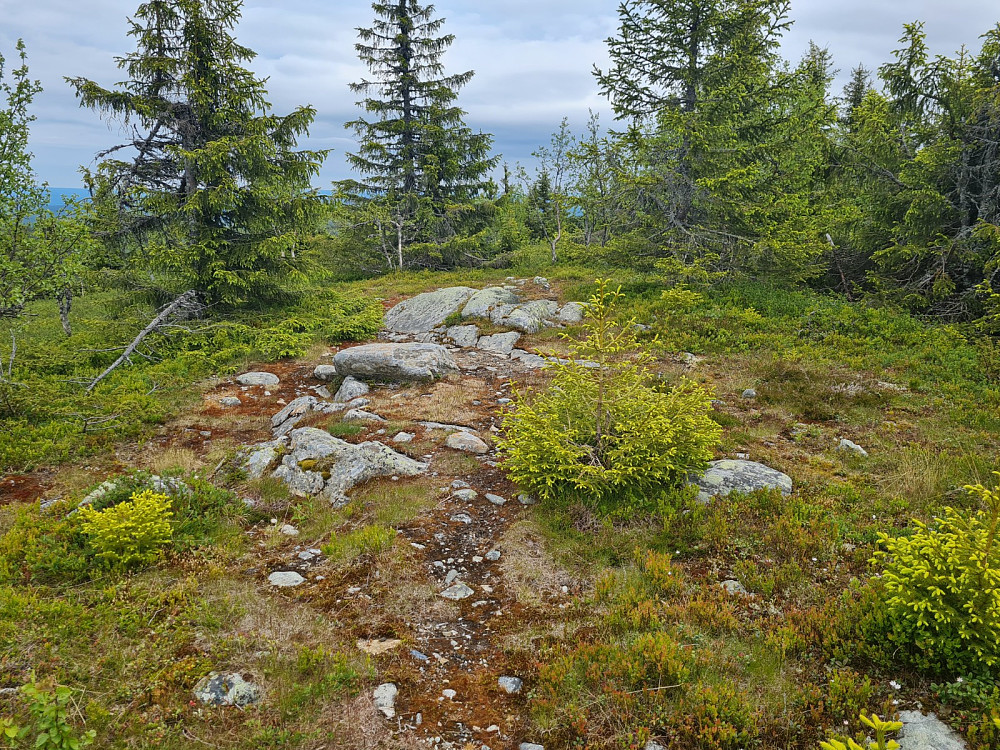 På Nordvest for Krokvassfjellet