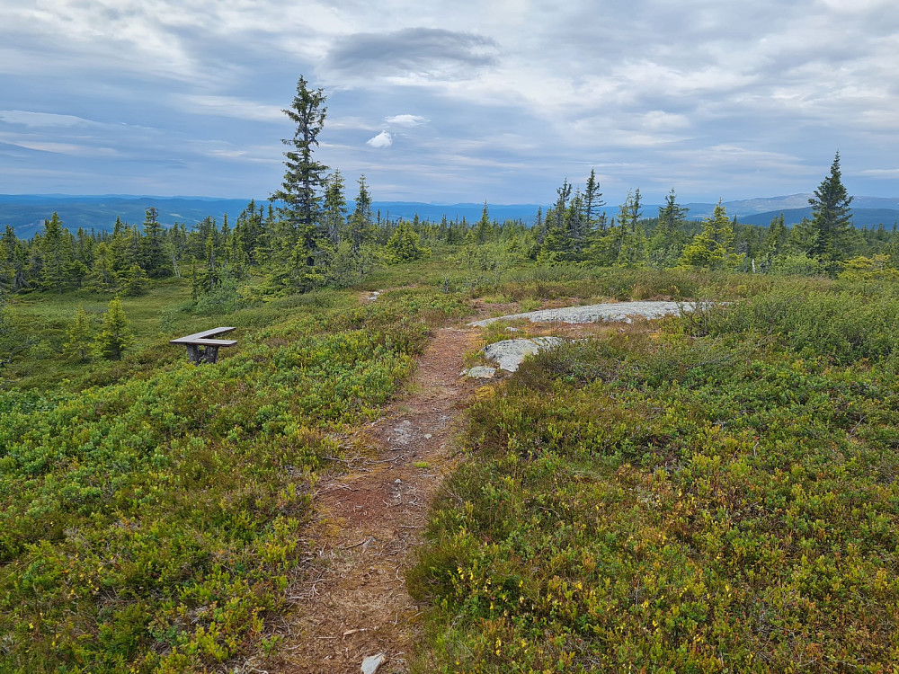 Buffrifjellet, (Søre Midtfjellet