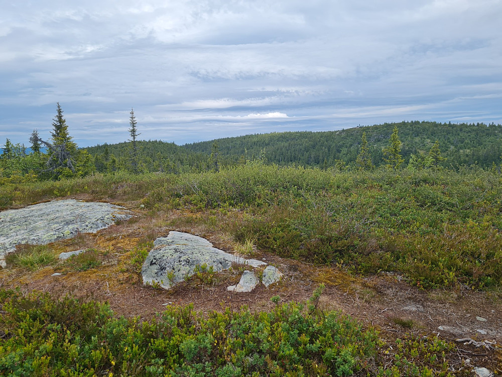 Buffrifjellet, mot Midtfjellet og Krokvassfjellet