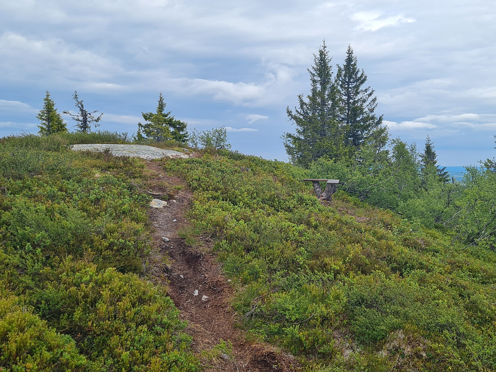 Buffrifjellet