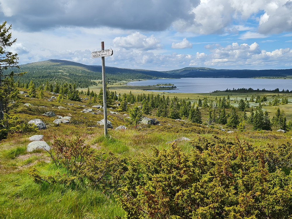 På Ytre Nysæterhøgda, mot Nevelfjell og Hafjell