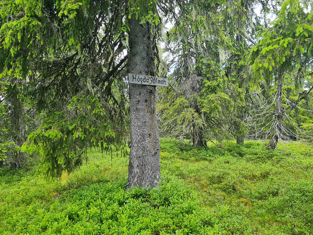 Storseterhøgda