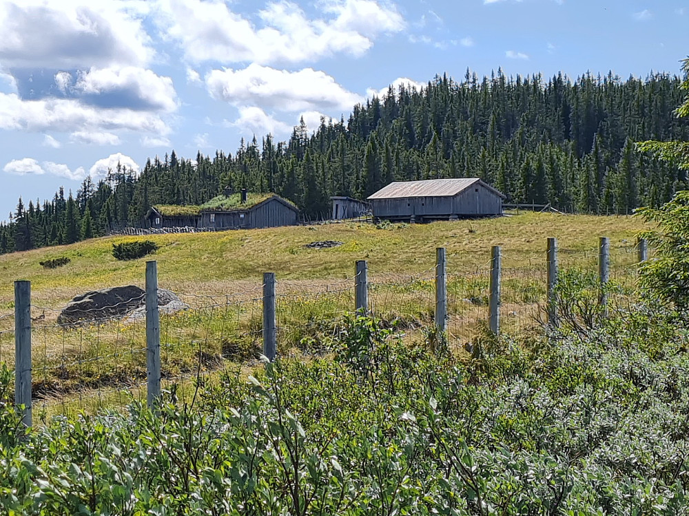 Systuggusetra på Grøtåsen