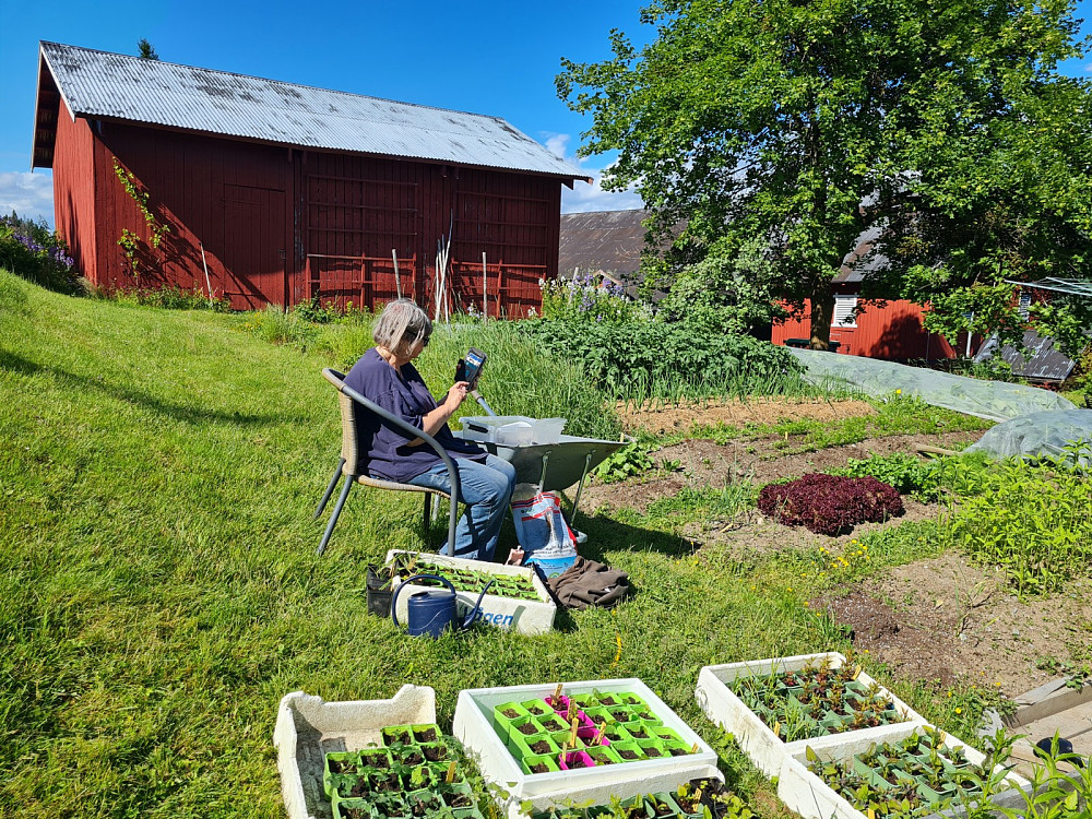  - og Margrethe jobber i hagen