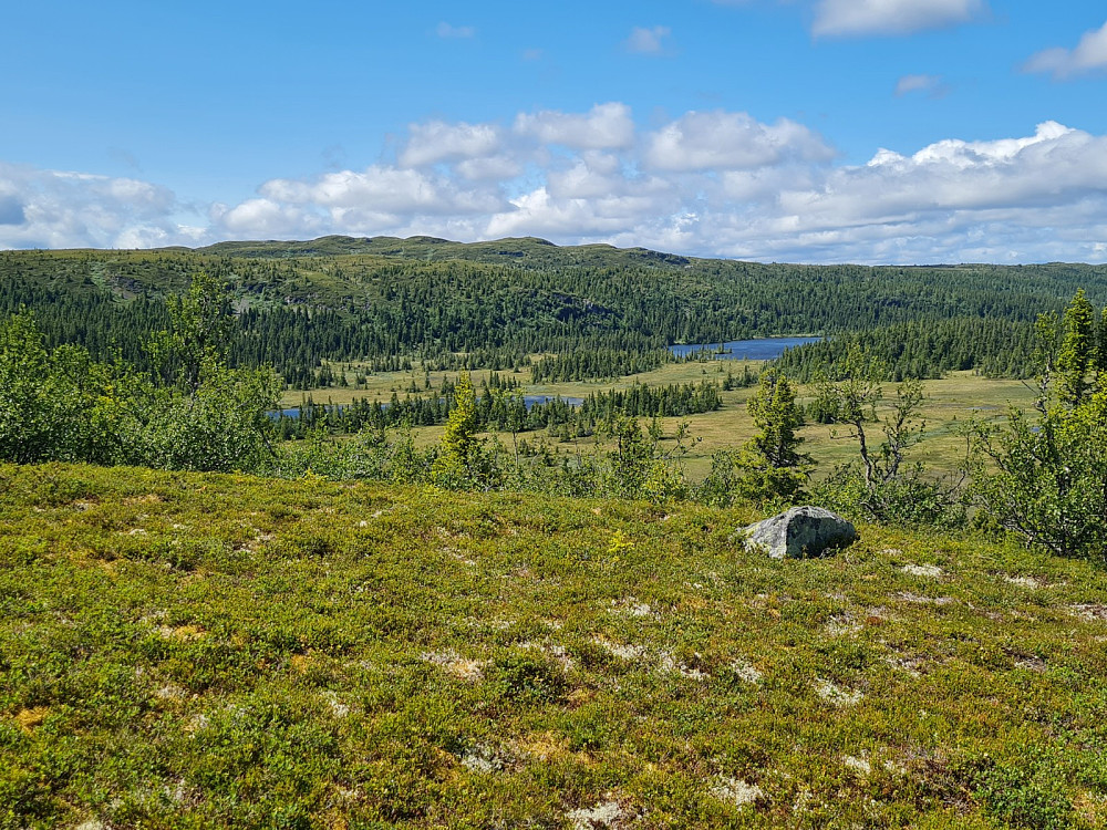 Utsiktfra Storhaugen, mot Skjelbreidsvatnet, Skjelbreidsfjellet og Hindalssjøen