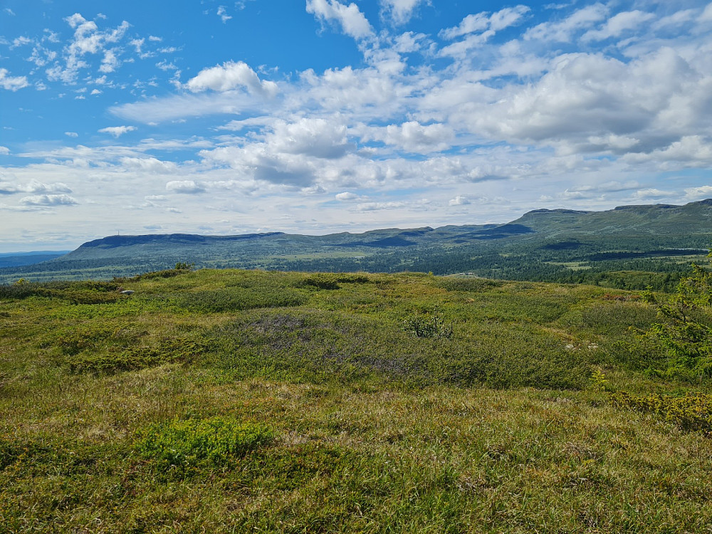 På Søre Skjenafjellet, mot Skeikampen og Prestkampen