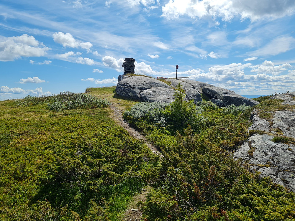 Linvikknappen
