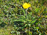 repelo_20250712_687280b818dc9.jpg