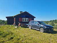 repelo_20250712_687280b91daf8.jpg