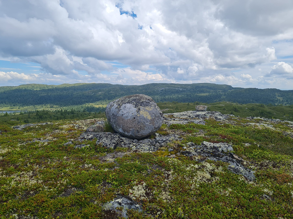 Torpevassfjellets høyeste punkt