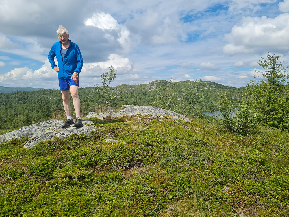På Gaustumseterhøgda