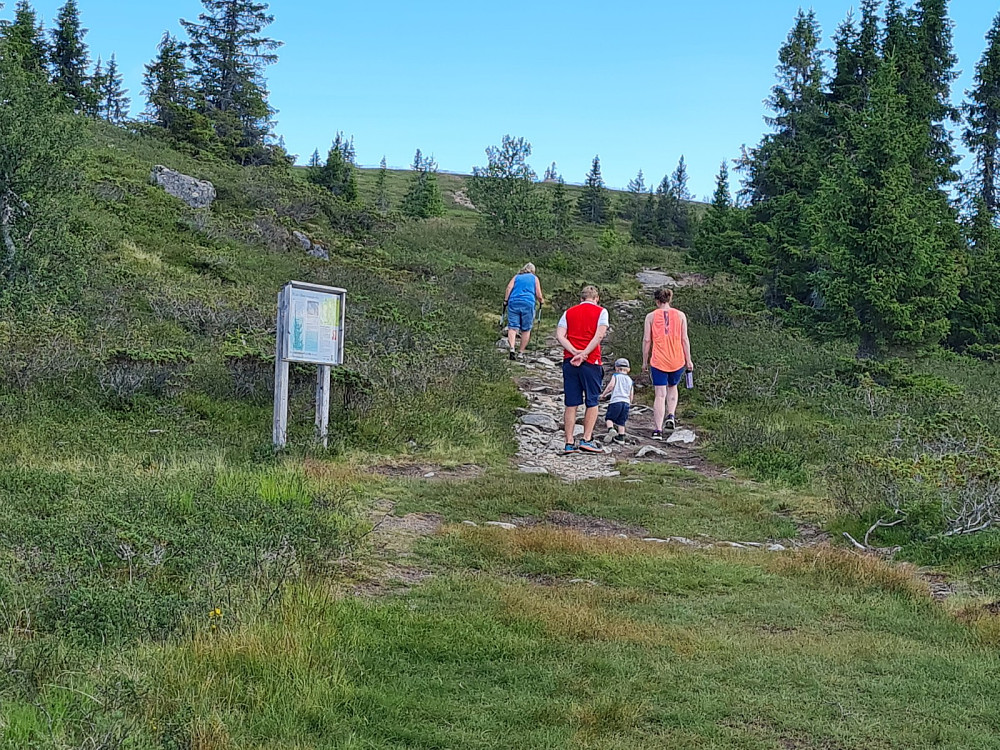 På vei til Hærfjellet