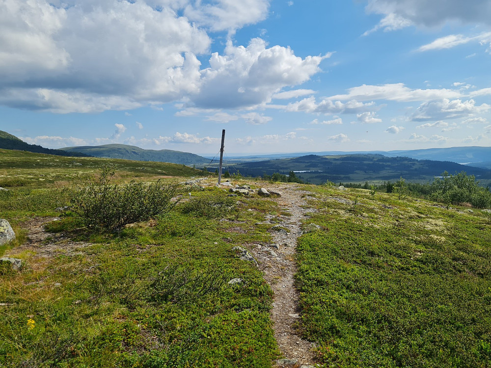 På Veslefjellet