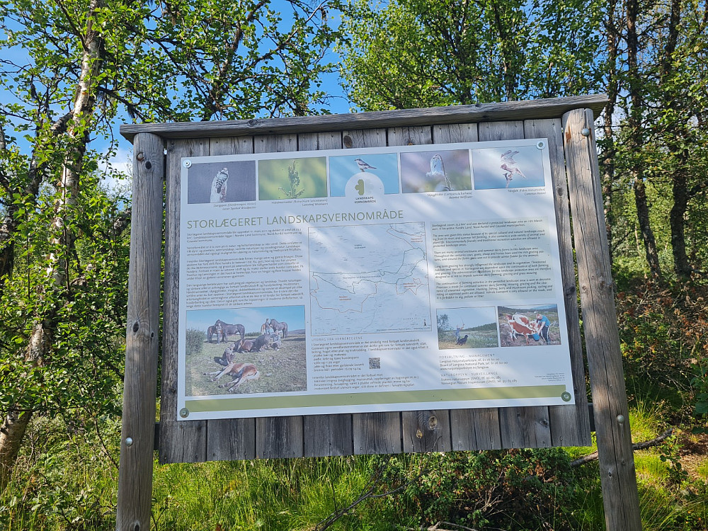 Info på Storlægerplassen