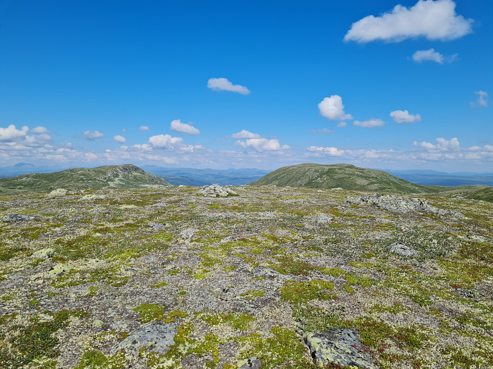 På Sørøstre Røssjøkollen 1266 moh