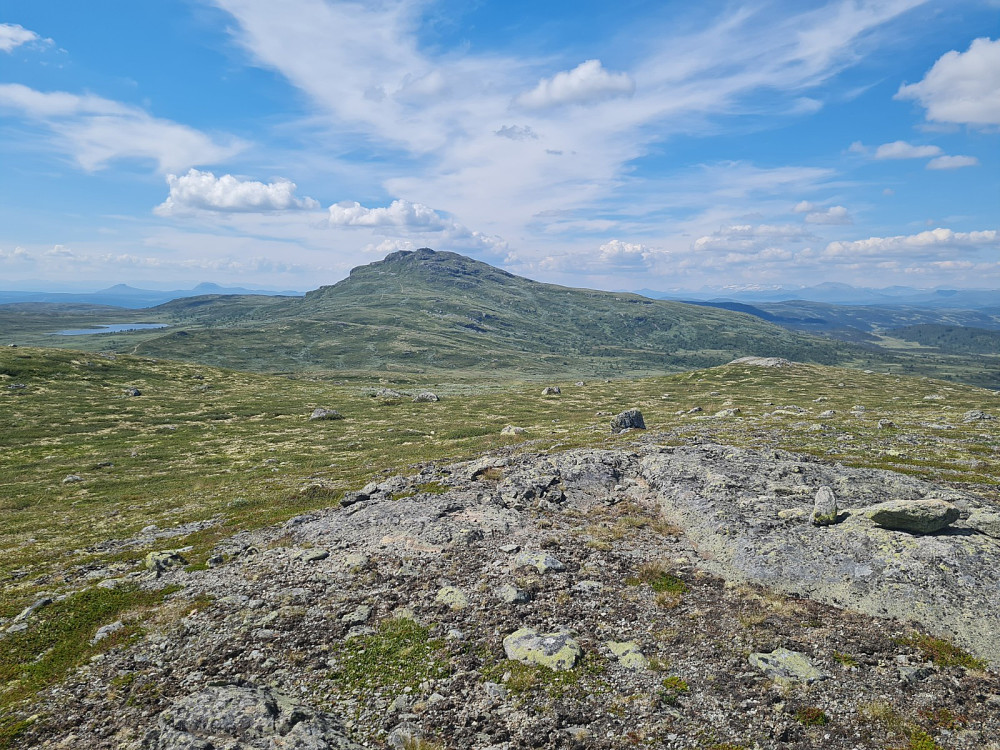 På høyeste punkt på Tørrisknattene