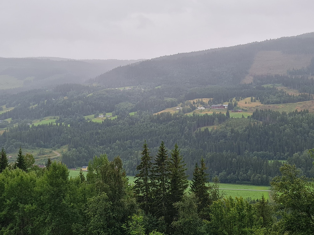 Utsikt mot baklia