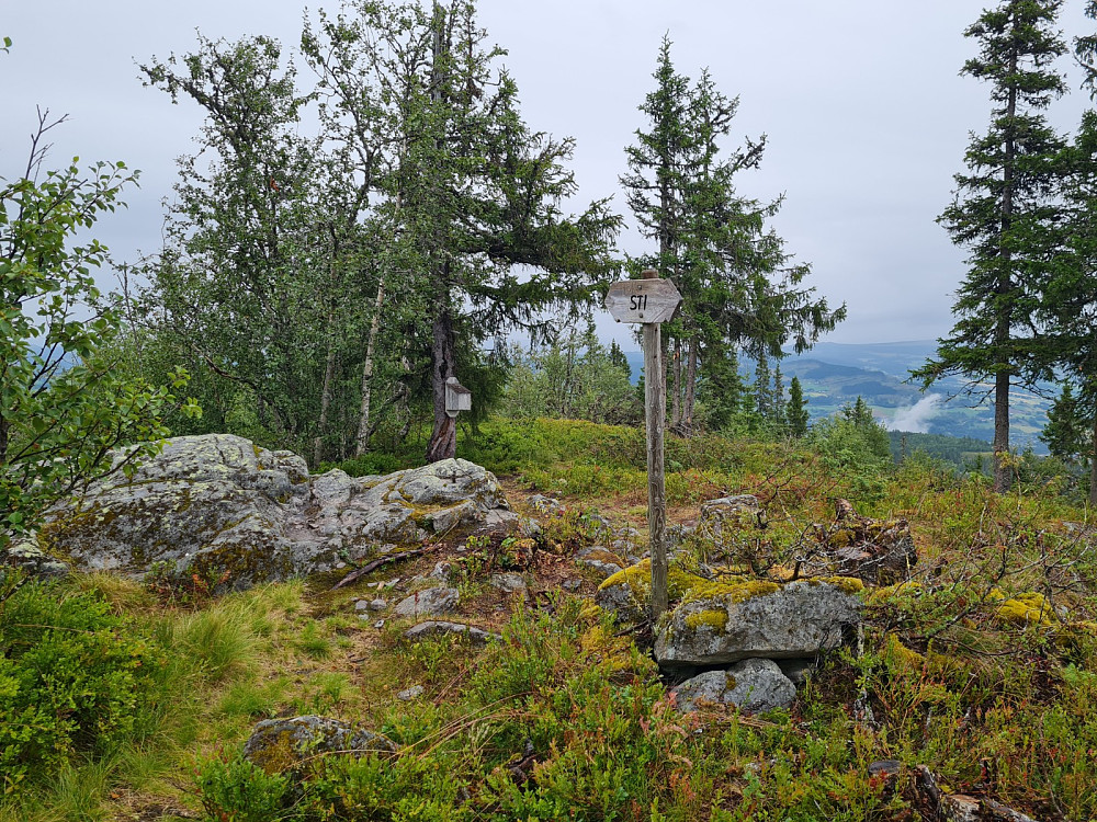 Vardkampen