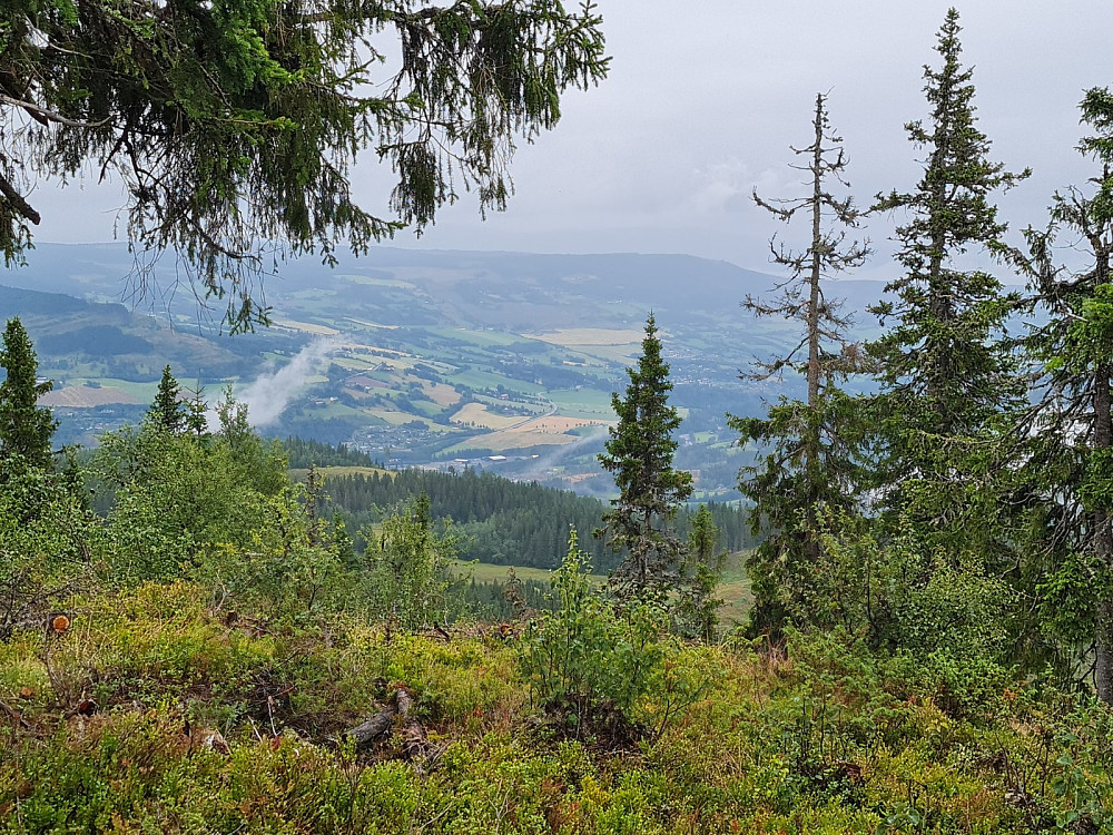 På Vardkampen