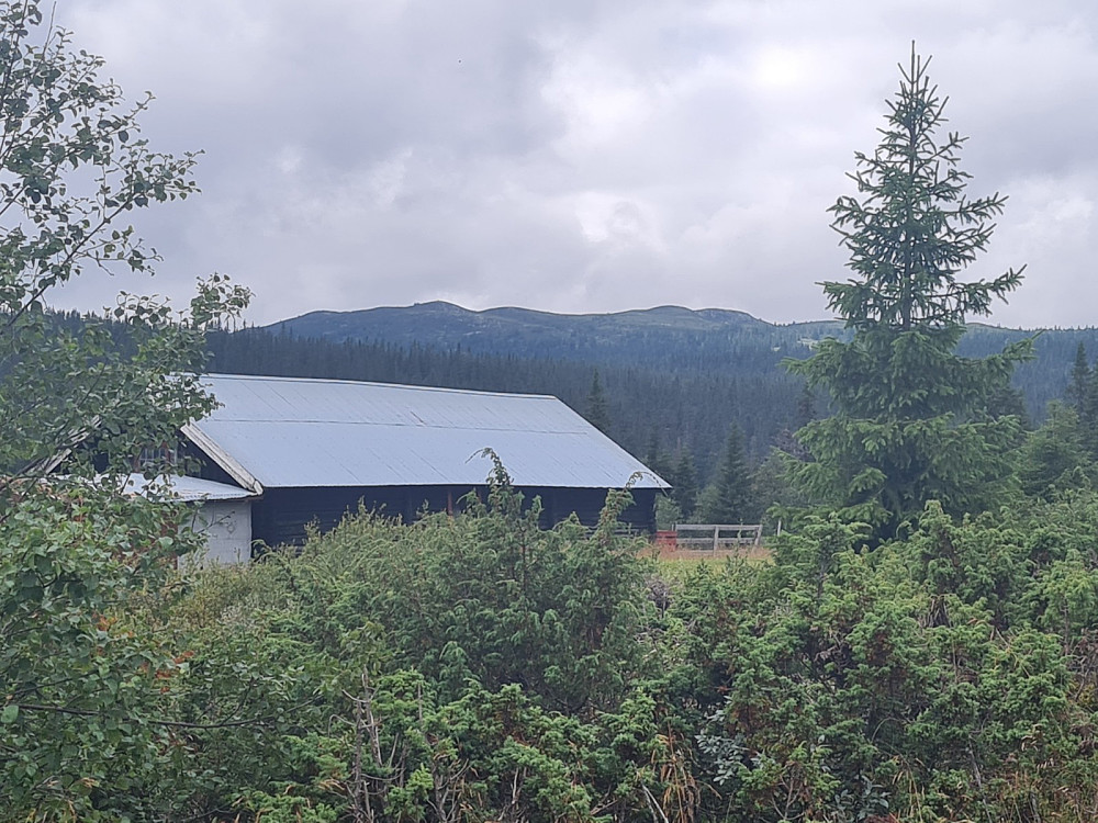 Skårsetra, mot Gammelhans
