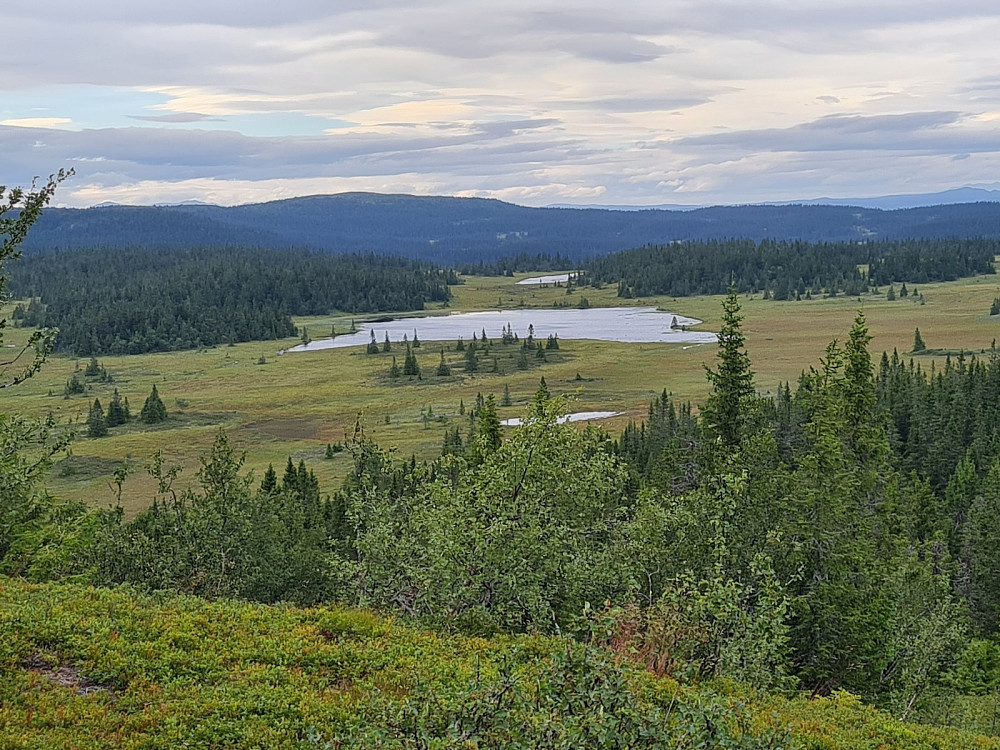 På Storhaugen, mot Erstjønnet