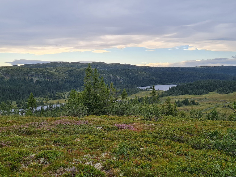 På Storhaugen, mot Skjelbreidsfjellet og Hindalssjøen