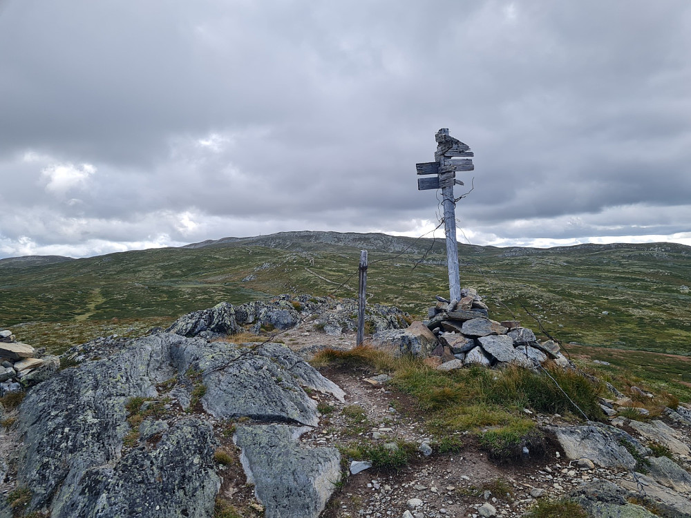 På høyde 1197 moh